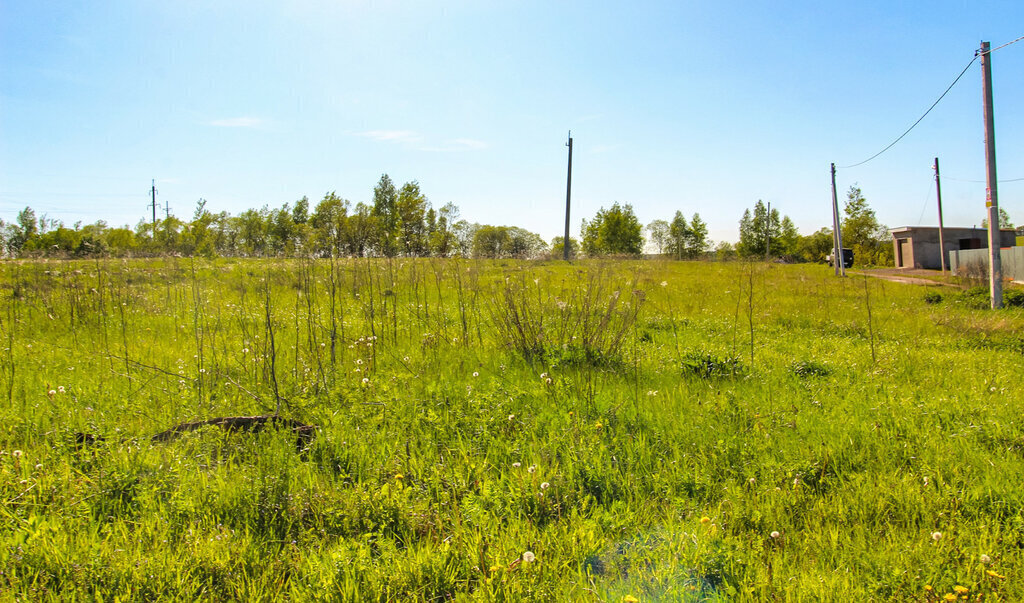 земля р-н Ленинский с Ионино городской округ Тула фото 4