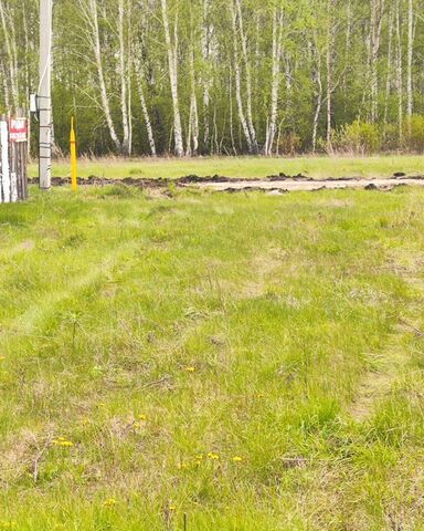 с Кайгородово Алишевское сельское поселение, коттеджный пос. Романовское Поместье, Полетаево фото