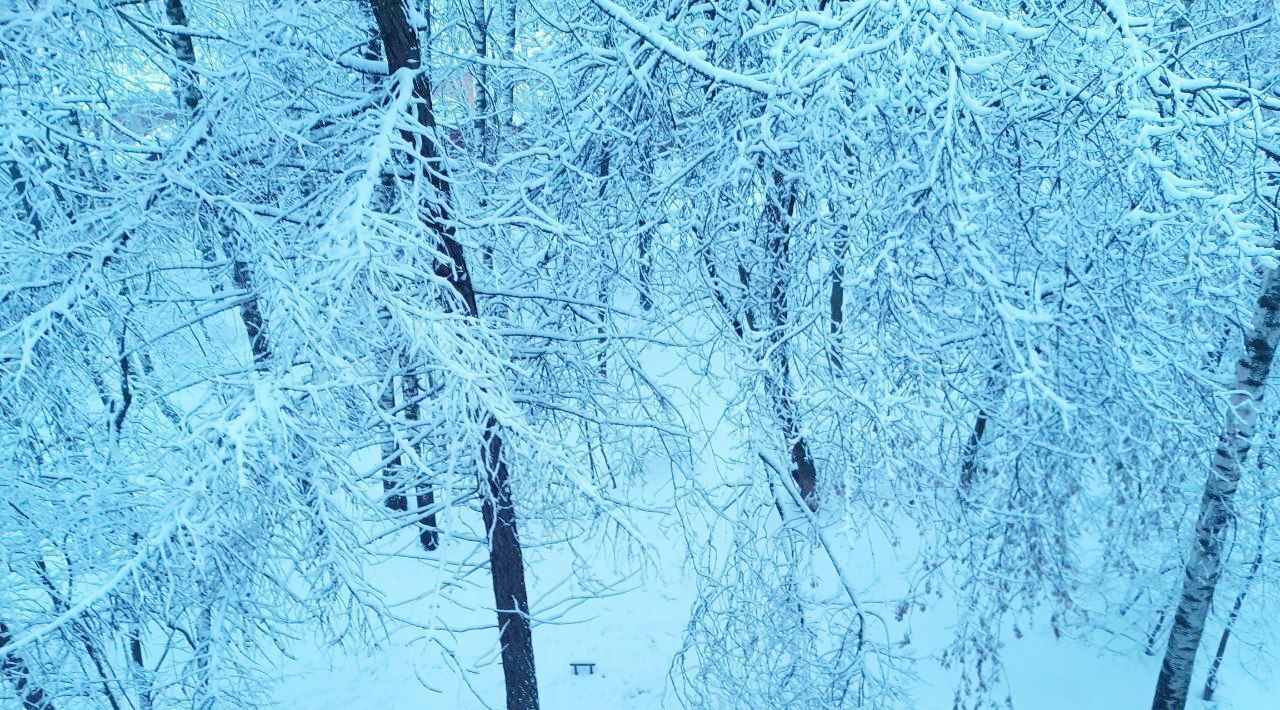 квартира г Нижний Новгород Горьковская ул Крылова фото 15