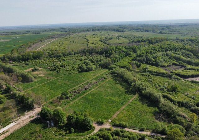 днп Балтийская деревня ул Дачная Калининград фото