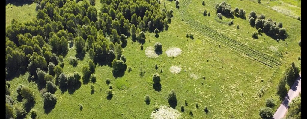 земля р-н Спировский д Вёшки ул Центральная фото 6