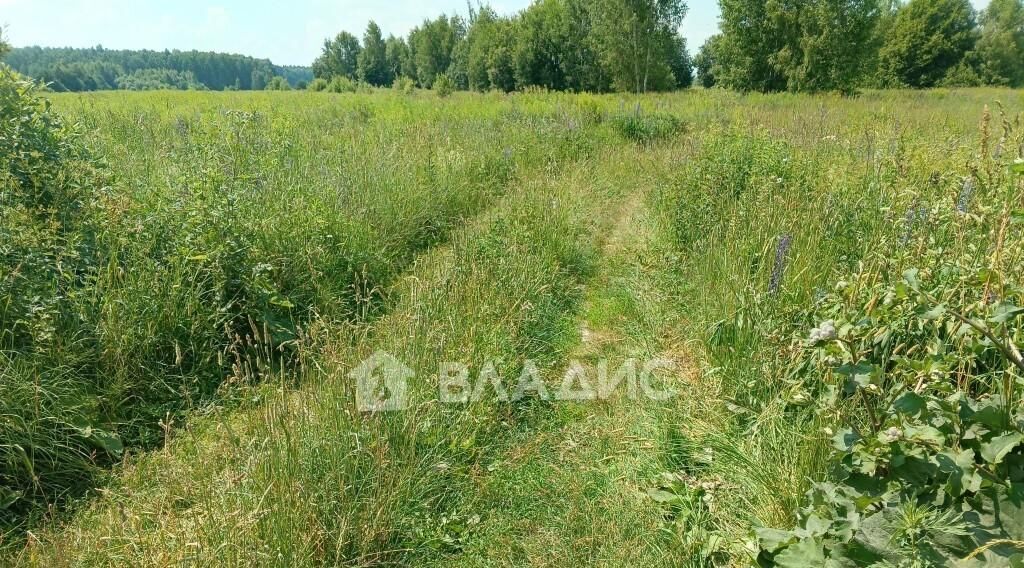 земля р-н Камешковский с Палашкино Второвское муниципальное образование фото 4