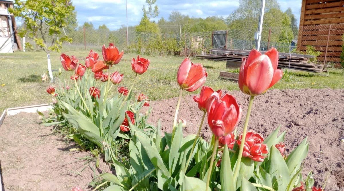 дом р-н Порховский д Хилово ул Молодежная 3 Славковская волость фото 43