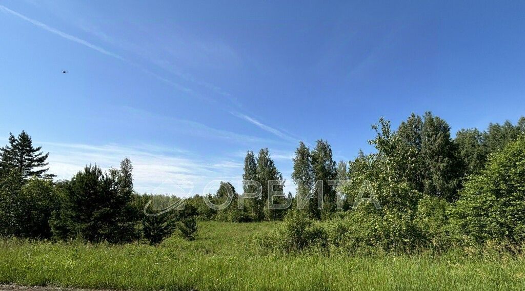 земля р-н Нижнетавдинский Аракчино СНТ, ул. Приозерная фото 4