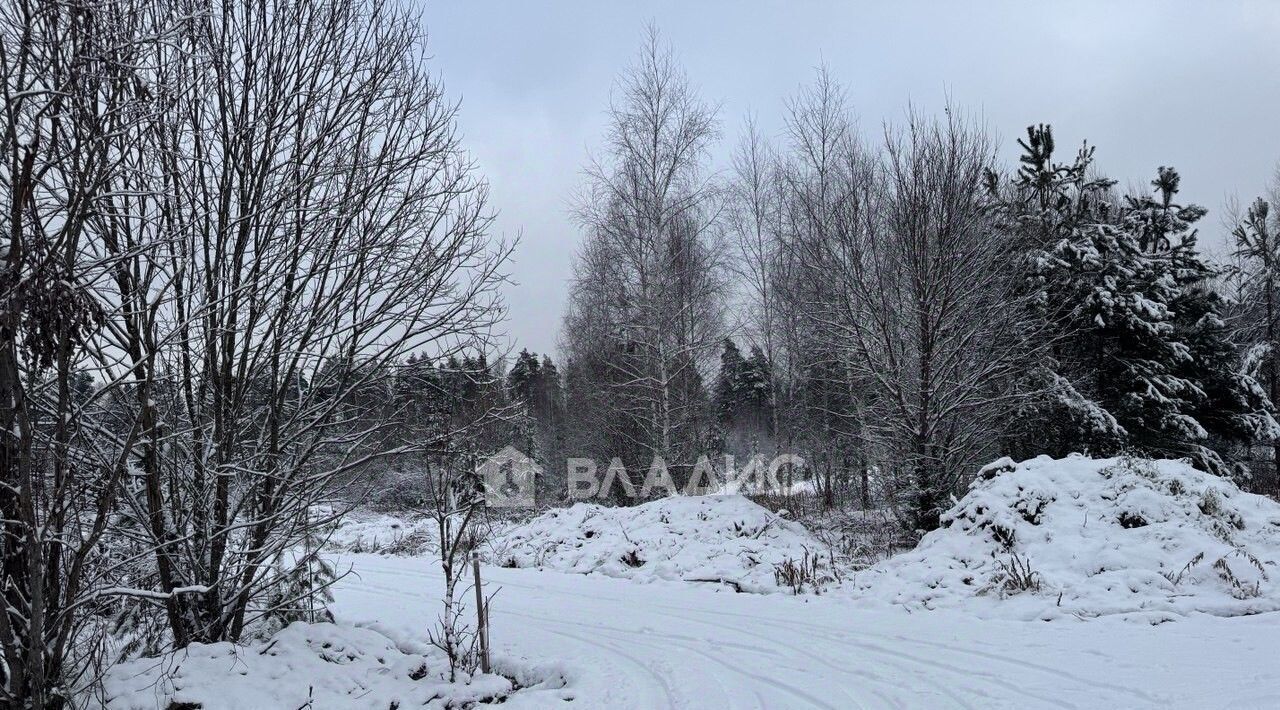 земля г Пушкино снт Нептун-1 Пушкинский городской округ фото 1