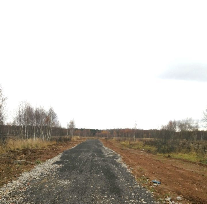 земля городской округ Чехов д Большое Петровское Петровское парк 2 кп фото 3