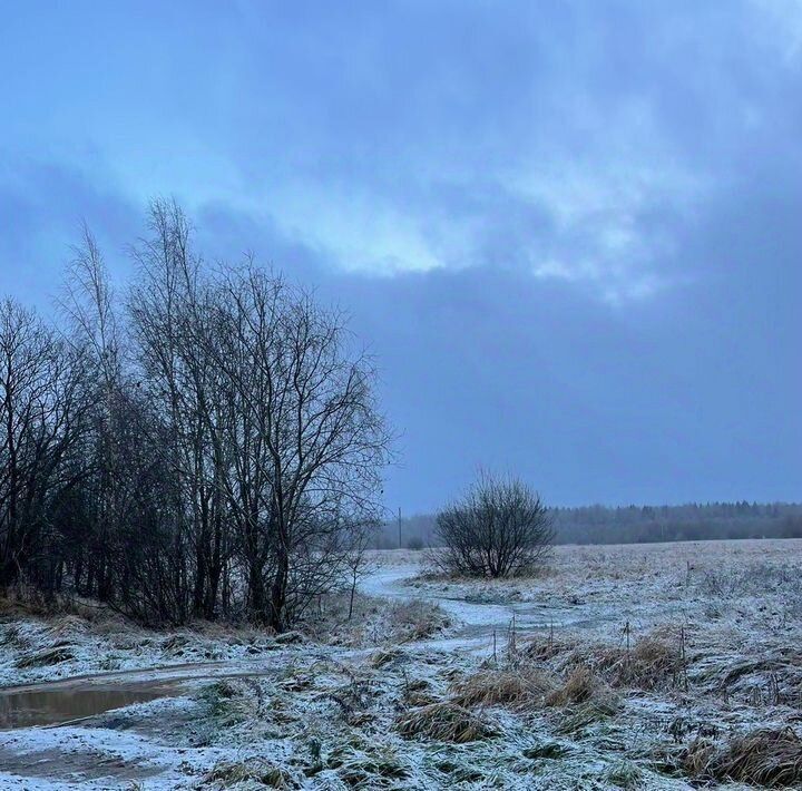 земля р-н Всеволожский д Ириновка Рахьинское городское поселение, 110 фото 4