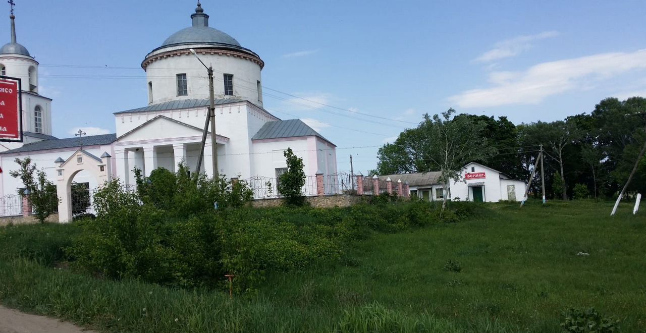 земля р-н Михайловский с Голдино ул Угловая Михайлов фото 14