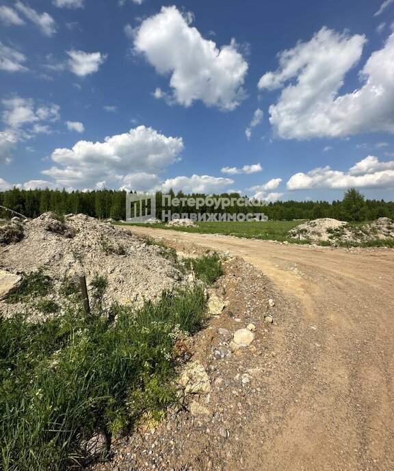 земля р-н Кировский д Пухолово Мгинское городское поселение фото 1