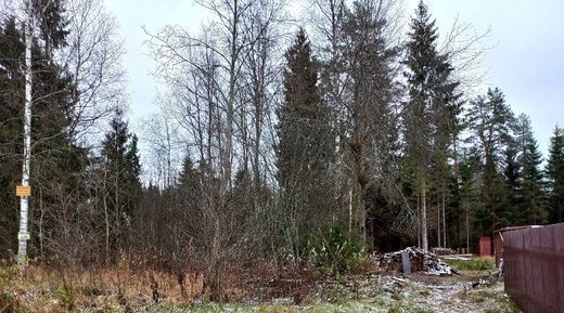 п Берёзовик Тихвинское городское поселение фото