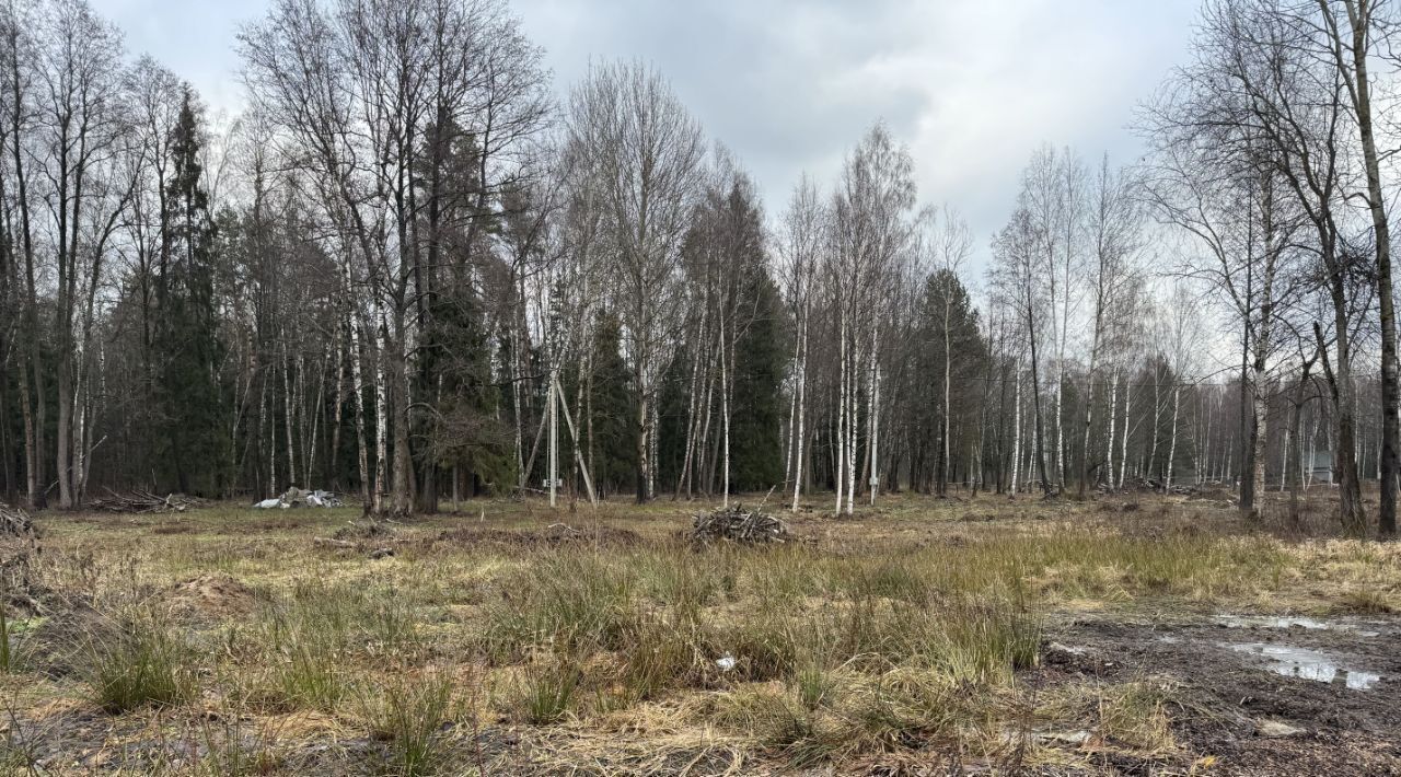 земля г Щёлково снт Южный зона, Удельная, Богородский городской округ фото 2