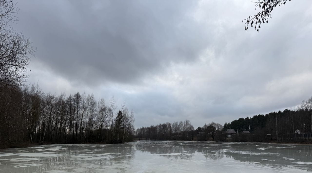 земля г Щёлково снт Южный зона, Удельная, Богородский городской округ фото 7