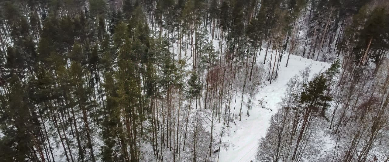 земля р-н Приозерский д Светлое с пос, Красноозерное фото 6