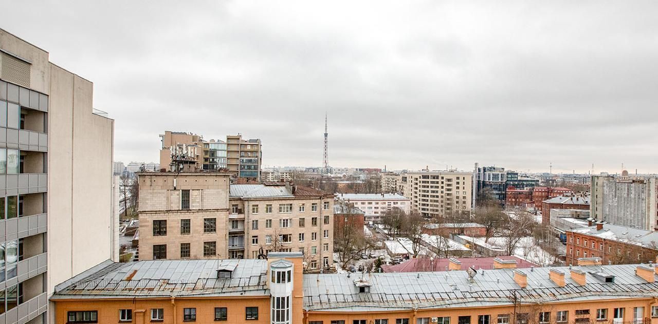 квартира г Санкт-Петербург метро Петроградская ул Грота 1/3г дом на ул. Грота, 1/3 округ Чкаловское фото 38