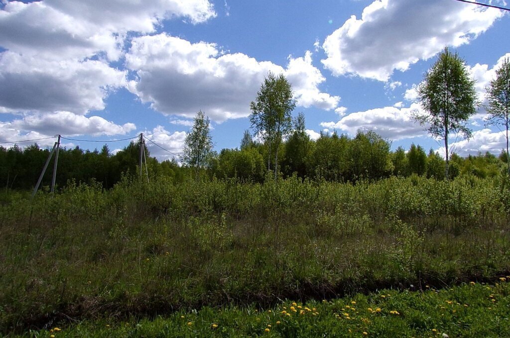 земля городской округ Чехов д Курниково фото 2