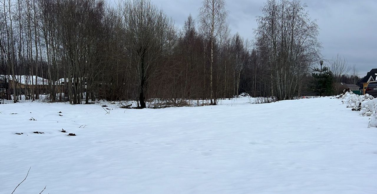 земля р-н Всеволожский д Ваганово Дорога жизни, 30 км, Рахьинское городское поселение, Ладожское Озеро фото 4