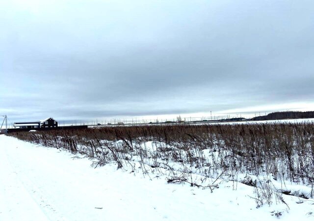 земля д Холуденево 29 км, Раменское, Рязанское шоссе фото