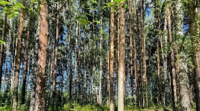 земля п Дудкино р-н Заволжский фото