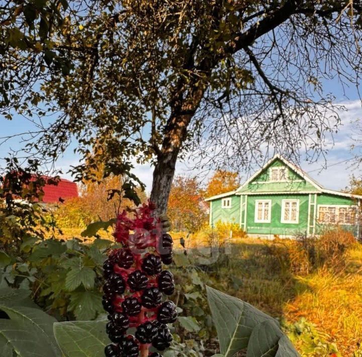 дом р-н Ярославский д Кузнечиха снт Сельхозтехника-2 Кузнечихинское с/пос, 403 фото 4