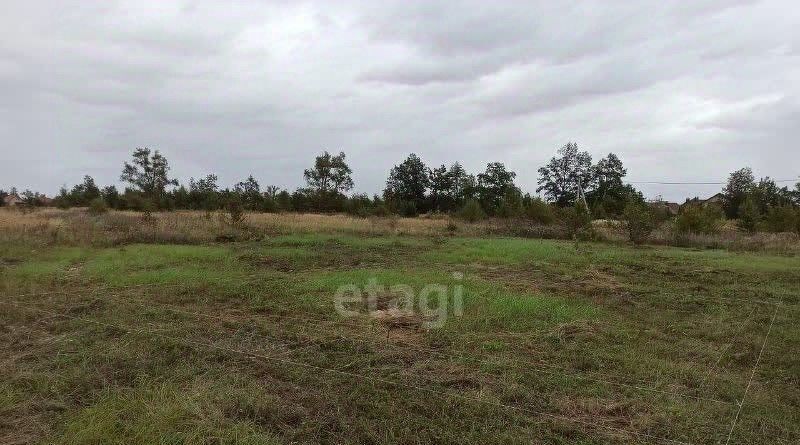 земля р-н Старооскольский с Новокладовое Старооскольский городской округ фото 3