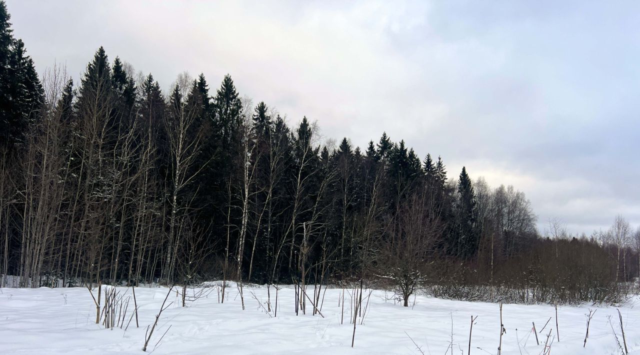 земля городской округ Сергиево-Посадский Яркое кп, 180 фото 13