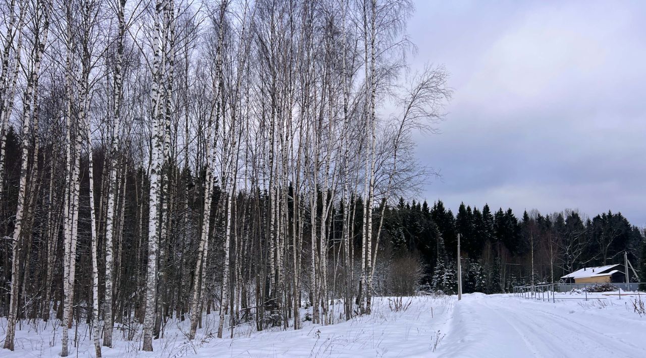 земля городской округ Сергиево-Посадский Яркое кп, 180 фото 15