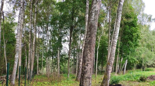 городской округ Волоколамский Львовские Озера-2 кп, 139 фото