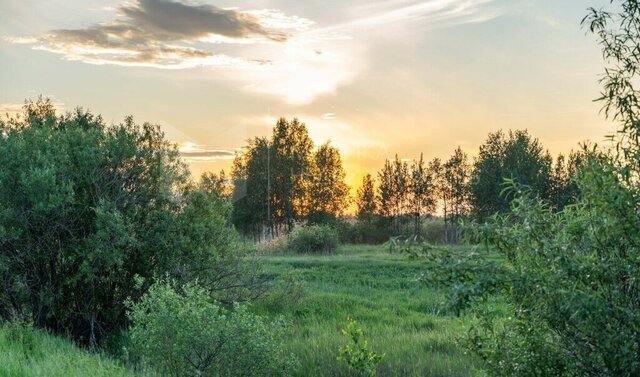 снт Царево ул Лунная Центральный административный округ фото