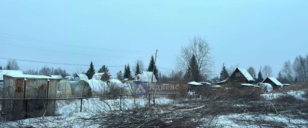 земля р-н Нижнетавдинский снт Виктория ул 10-я 12 ТСН фото 3