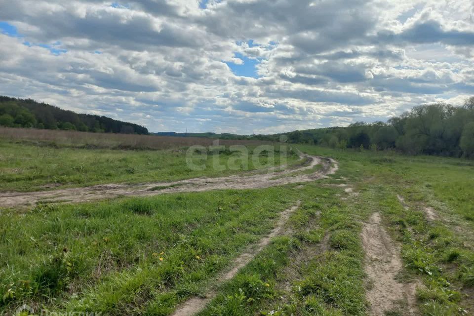 земля Тула городской округ, Архангельские сады, Яблочная улица, 31 фото 2