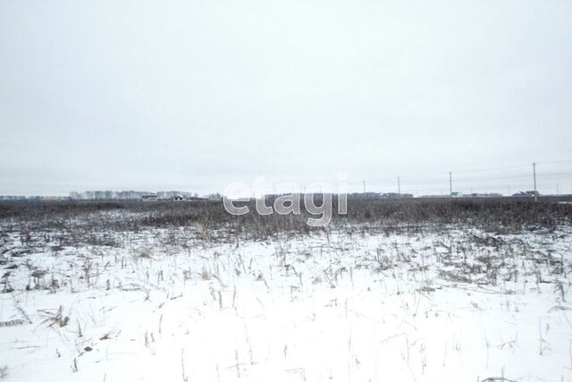 пер Южный Заводоуковский городской округ фото