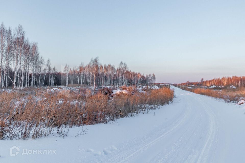 земля р-н Нижнетавдинский фото 2