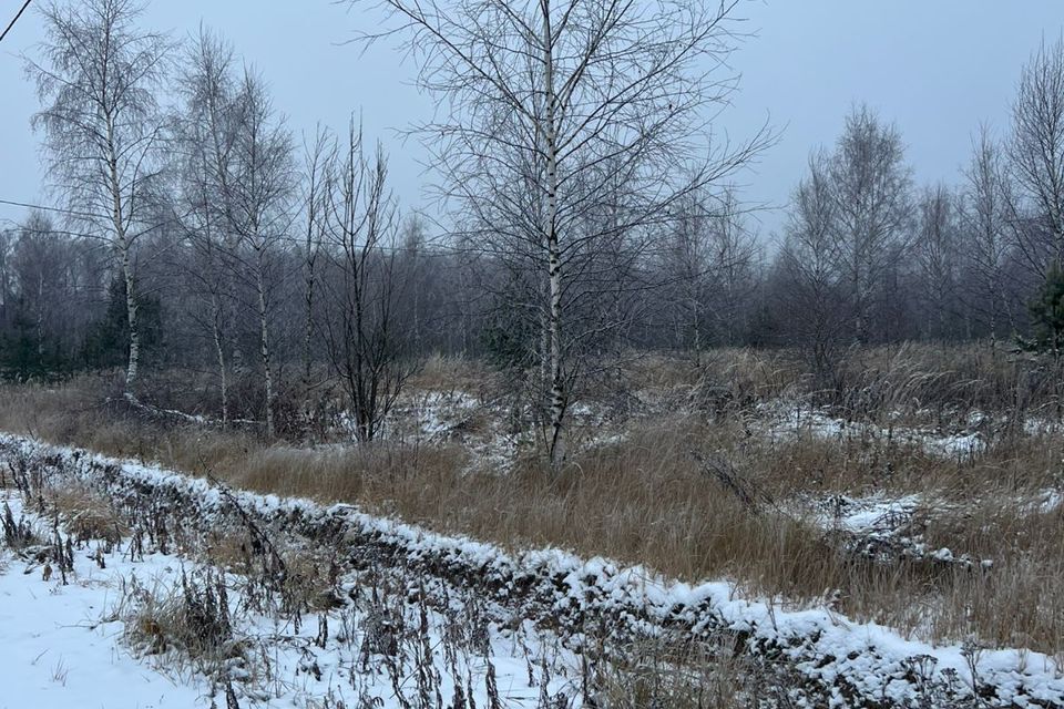 земля р-н Киржачский д Дворищи ул Пионерская фото 3