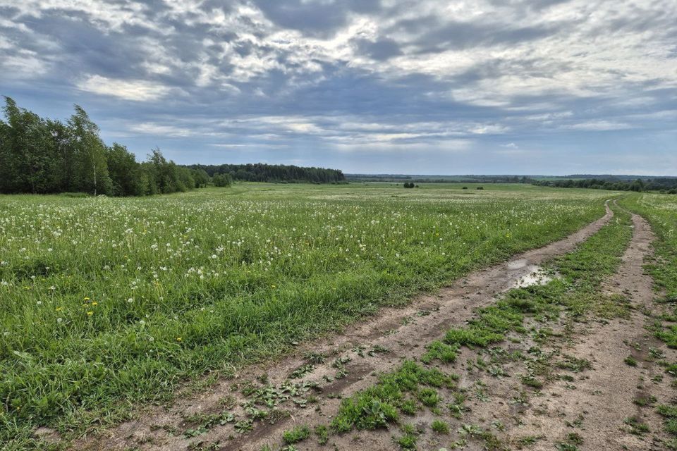 земля р-н Вологодский с. Куркино фото 4