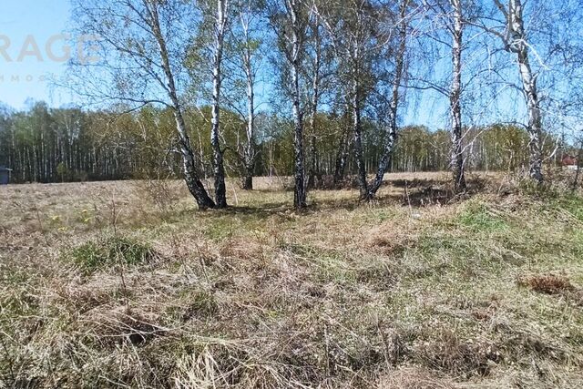 городской округ Бердск, Раздольный м-н фото