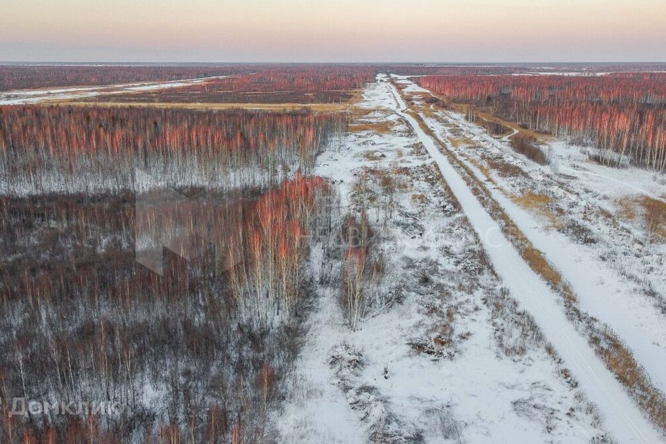 земля р-н Нижнетавдинский фото 9