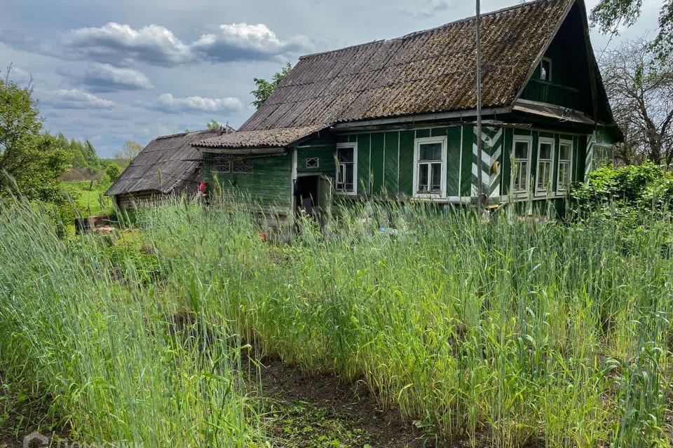 дом р-н Шимский д. Ладощино фото 10