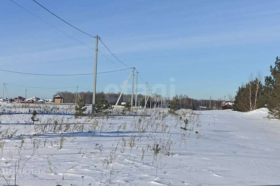 земля р-н Тюменский д Насекина Юбилейная фото 5