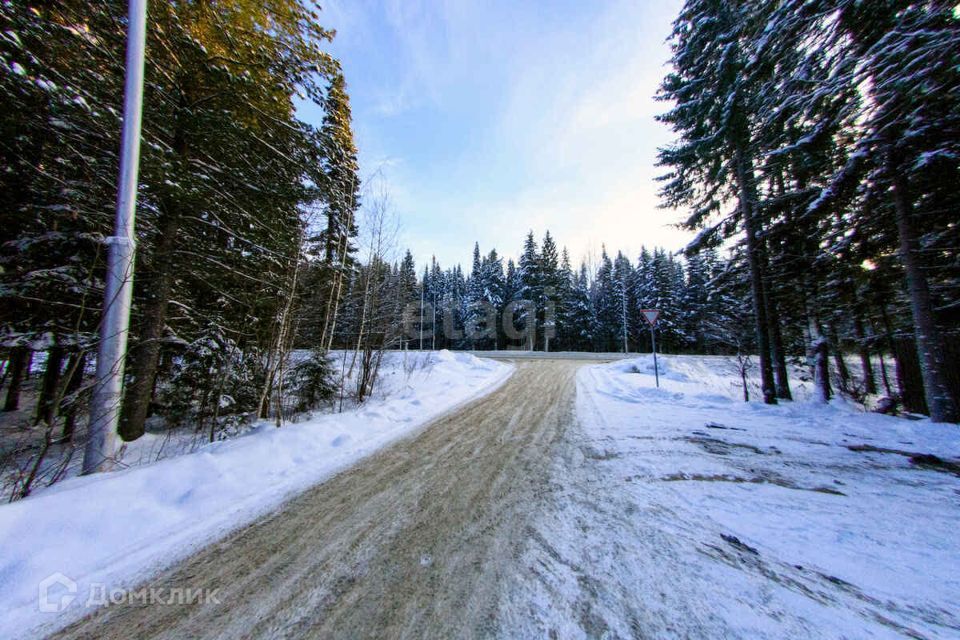 земля г Ханты-Мансийск СОК Урожай, Ханты-Мансийск городской округ фото 6