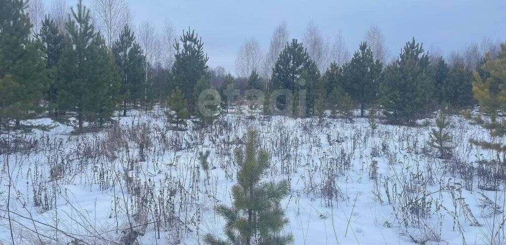 земля р-н Нижнетавдинский д Мияги ул Дорожная фото 4