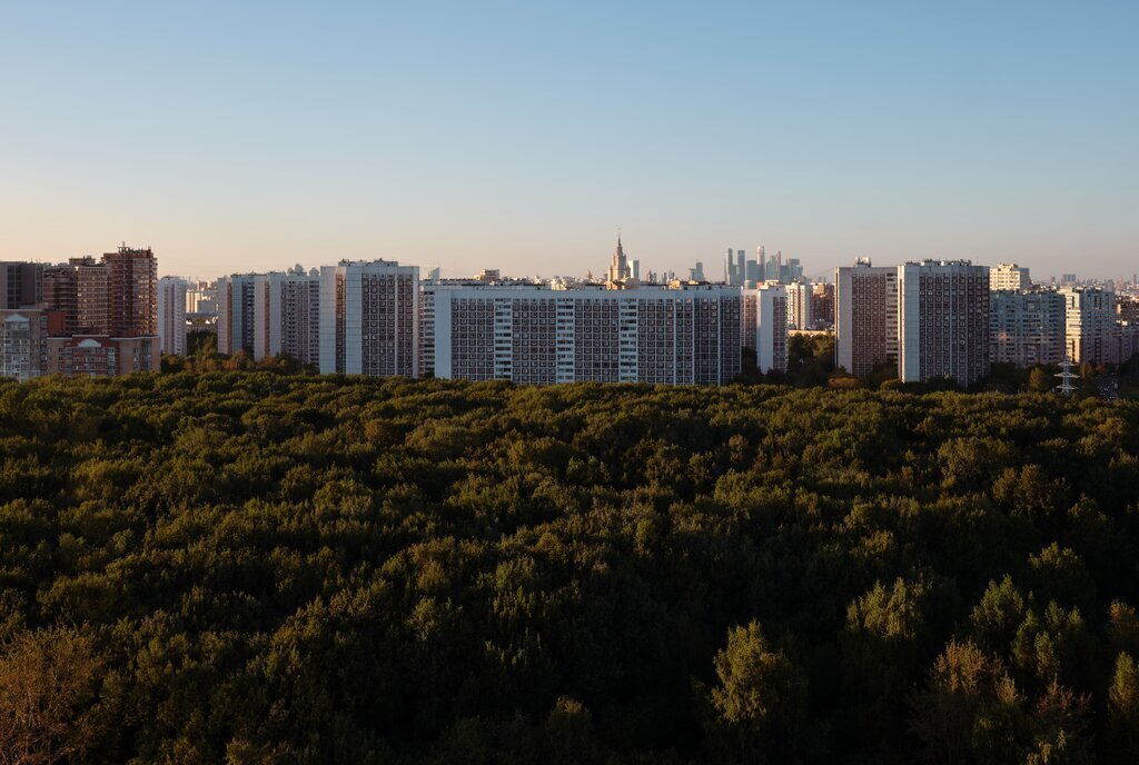 квартира г Москва ул Академика Челомея 1а Воронцовская фото 20