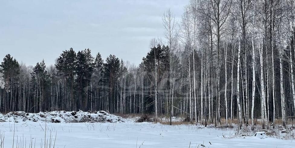 земля р-н Нижнетавдинский с Тюнево Тюмень фото 3