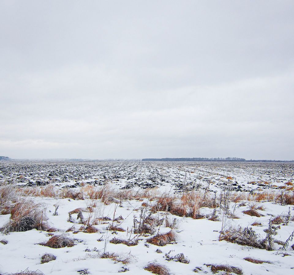 земля р-н Белоярский 65К-0003110 фото 3