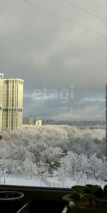 квартира г Москва метро Зябликово ул Воронежская 38/43 муниципальный округ Орехово-Борисово Южное фото 11