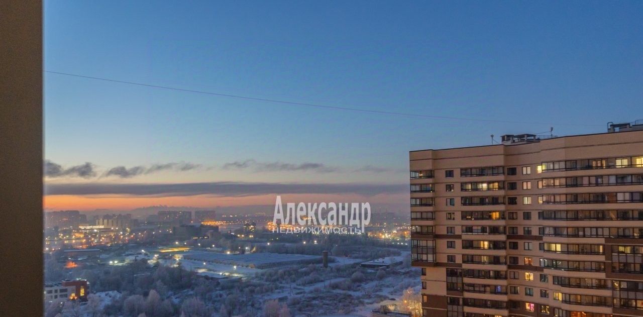 квартира г Санкт-Петербург метро Ломоносовская ул Русановская 17к/1 округ Народный фото 22