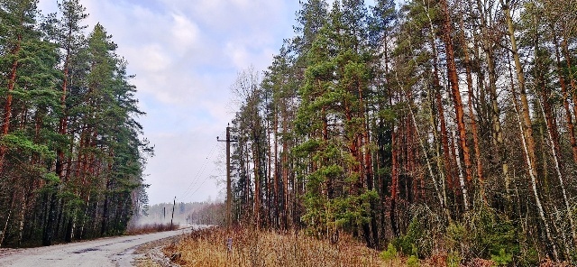 дом городской округ Егорьевск д Федотиха фото 16