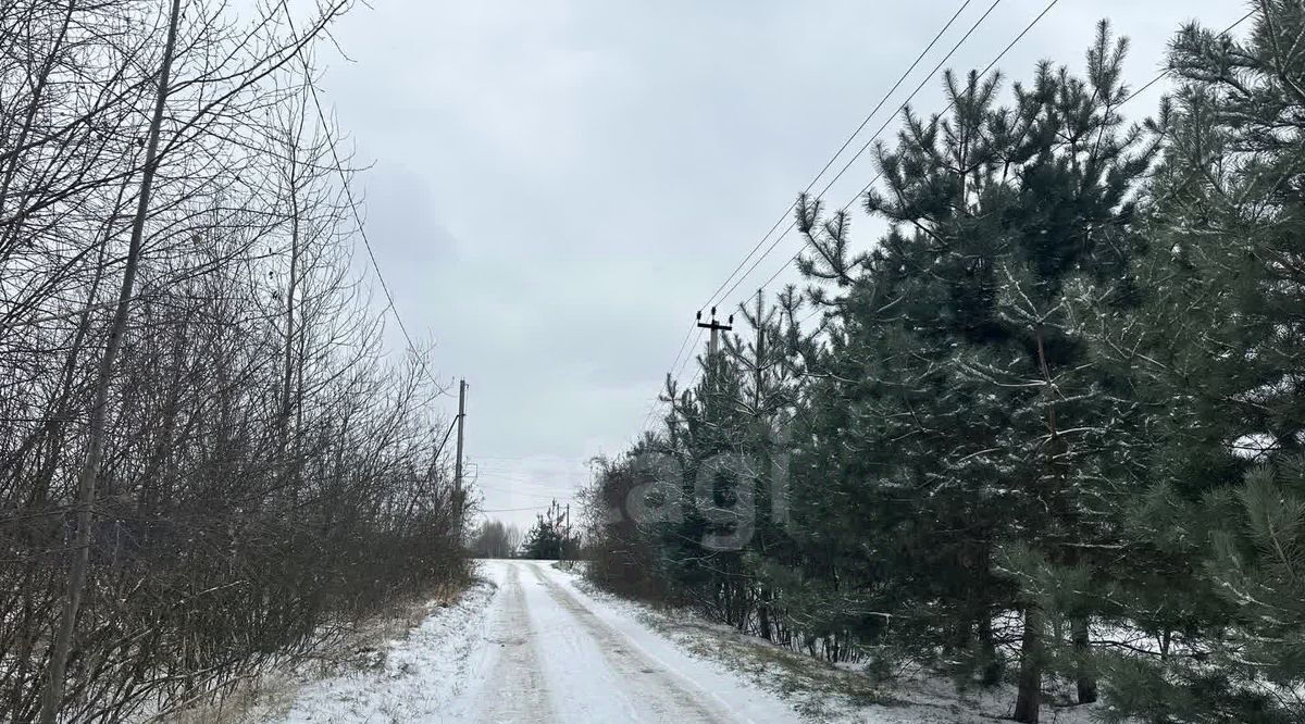 земля городской округ Коломенский с Нижнее Хорошово ул Полевая Коломна городской округ фото 7