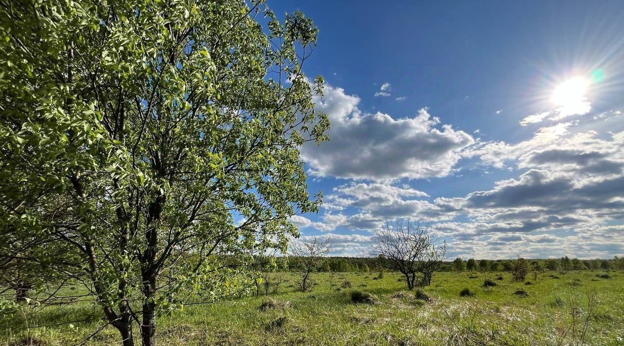 земля городской округ Серпухов д Акулово фото 16