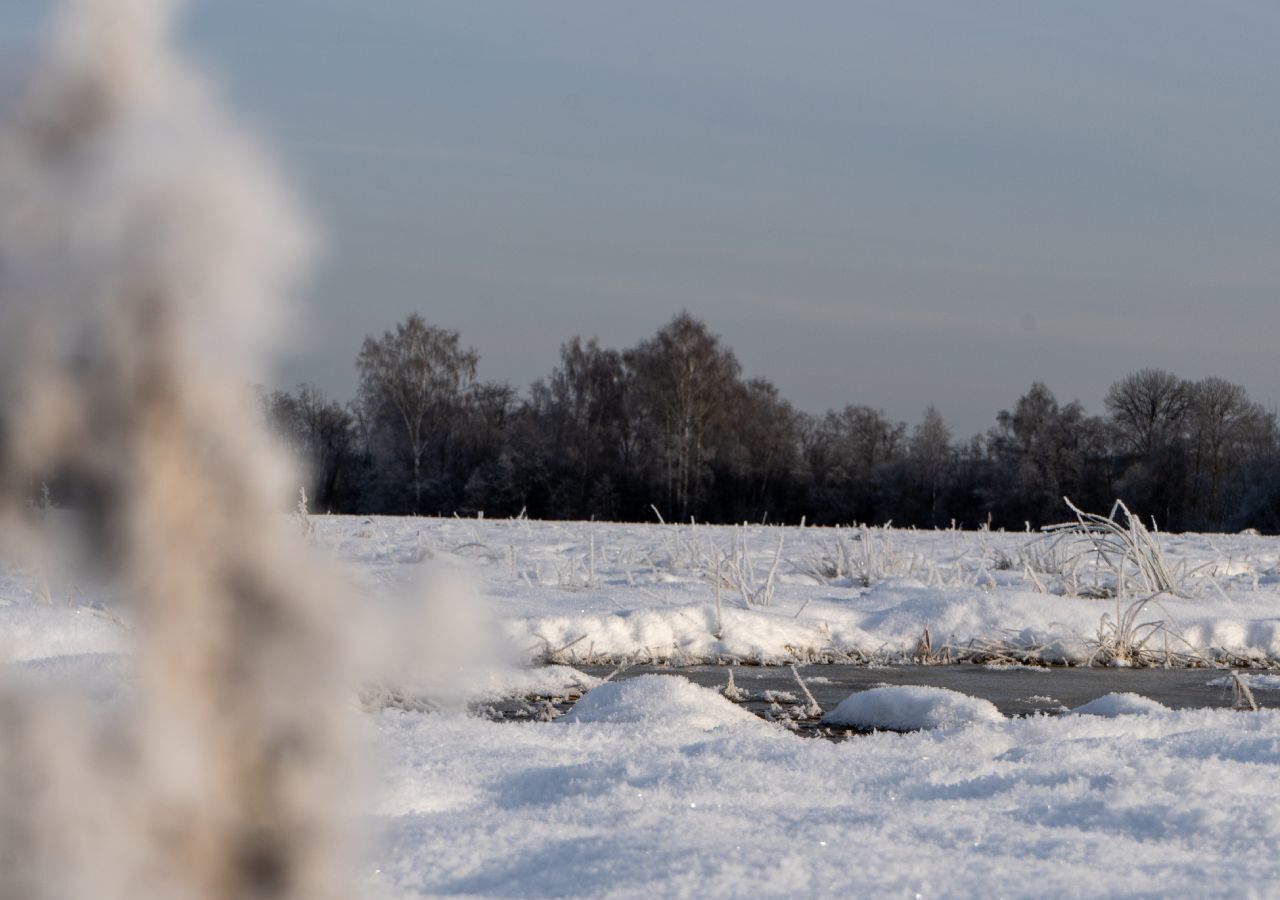 земля городской округ Шаховская с Белая Колпь 112 км, Новорижское шоссе фото 7