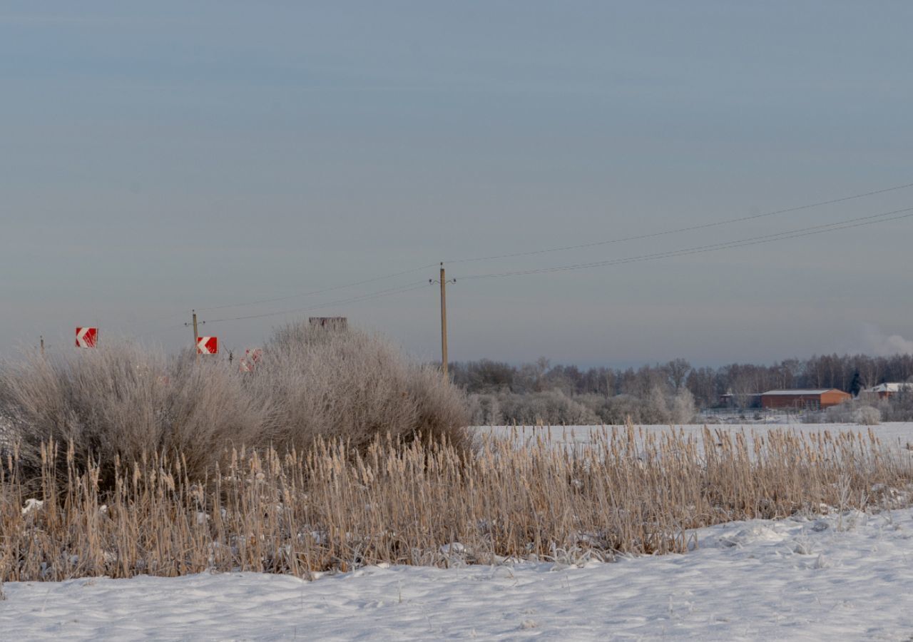 земля городской округ Шаховская д Зденежье 112 км, Новорижское шоссе фото 12